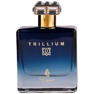 Wody i perfumy męskie - Emir Trillium woda perfumowana 100 ml - miniaturka - grafika 1