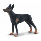 Figurki dla dzieci - COLLECTA Pies doberman L . - miniaturka - grafika 1