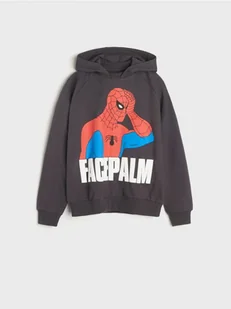 Sinsay - Bluza Spiderman - szary - Swetry dla chłopców - miniaturka - grafika 1
