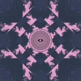 PIAS Records Flume - Składanki muzyczne - miniaturka - grafika 2