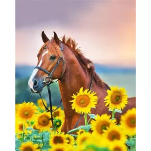 Titanum Malowanie po numerach - 30x40cm Koń w słonecznik. - Malowanie po numerach - miniaturka - grafika 1