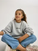 Bluzki dla dziewczynek - Reserved - Bluza dresowa z haftem - jasnoszary - miniaturka - grafika 1