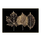 Obrazy i zdjęcia na płótnie - Obraz Deco box Suszki liście 60 x 90 cm - miniaturka - grafika 1