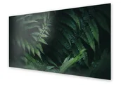 Dekoracje domu - Panel kuchenny HOMEPRINT Liście paproci 125x50 cm - miniaturka - grafika 1