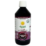 Soki i napoje niegazowane - Joy Day Koncentrat napoju probiotycznego, Cardio Up Burak, 500 ml - miniaturka - grafika 1