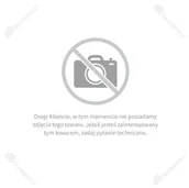 Folie i taśmy malarskie - Tesa Taśma dwustronna PP FP 25m 50mm H0837200 - miniaturka - grafika 1