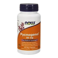 Suplementy naturalne - Now Foods Pycnogenol 60 mg 50 kapsułek - miniaturka - grafika 1