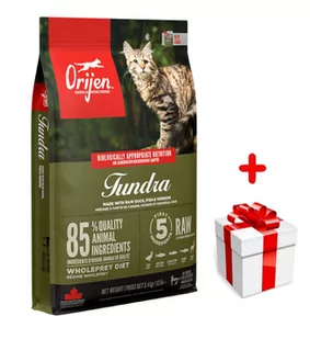 ORIJEN Tundra Cat 5,4kg + niespodzianka dla kota - Sucha karma dla kotów - miniaturka - grafika 1