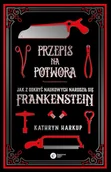 Felietony i reportaże - Przepis na potwora. Jak z odkryć naukowych narodził się Frankenstein - miniaturka - grafika 1