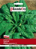 Nasiona i cebule - NASIONA Szpinak Asta Mieszaniec F1 10g PLANTICO 404519 - miniaturka - grafika 1