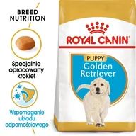 Sucha karma dla psów - Royal Canin Golden Retriever Junior 3 kg - miniaturka - grafika 1