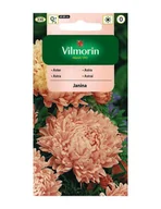 Nasiona i cebule - ASTER PEONIOWY JANINA 0,5g - miniaturka - grafika 1