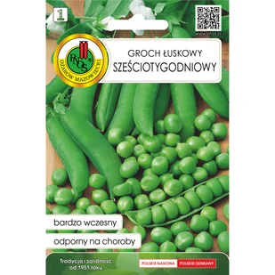 Groch łuskowy 6-tygodniowy nasiona Pnos - Nasiona i cebule - miniaturka - grafika 1