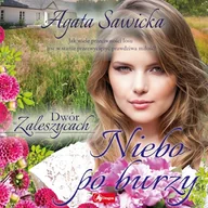 Audiobooki - literatura popularnonaukowa - Niebo po burzy Agata Sawicka - miniaturka - grafika 1
