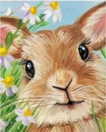 Malowanie po numerach - Artnapi 40x50cm Malowanie Po Numerach - Królik - Na Drewnianej Ramie - miniaturka - grafika 1