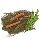 Ozdoby bożonarodzeniowe - Zestaw naturalny Susz ozdobny pomarańcza anyż cynamon zielone gałązki - miniaturka - grafika 1