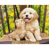 Malowanie po numerach - Malowanie po numerach BRUSHME 40x50 cm Mali Przyjaciele - miniaturka - grafika 1