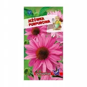 Nasiona i cebule - Jeżówka purpurowa różowa 1g / O / - miniaturka - grafika 1