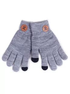 Rękawiczki Chłopięce Pięciopalczaste Dwuwarstwowe Szare Z Naszywką Dotykowe 22 Cm - Rękawiczki dla dzieci - miniaturka - grafika 1