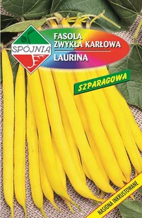Nasiona Fasola Zw. Karłowa Laurina 50 G Spójnia - Nasiona i cebule - miniaturka - grafika 1