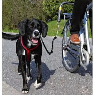 Trixie Smycz rowerowa dla dużych psów, uchwyt rowerowy TX-1287 - Smycze dla psów - miniaturka - grafika 1