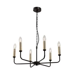 Zuma Line OPR.OŚWIET.AMPLI Z-6 CZARNY I ZŁOTY 6221Z-H02-06 002898-022179 - Lampy sufitowe - miniaturka - grafika 1