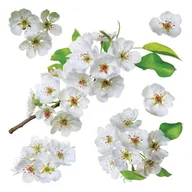 Naklejki na ścianę - Dekoracja samoprzylepna Apple blossom, 30 x 30 cm - miniaturka - grafika 1