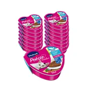 Mokra karma dla psów - Vitakraft POESIE mokra karma dla kota z łososiem i szpinakiem 24x85g 56541-uniw - miniaturka - grafika 1