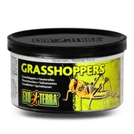 Pokarm dla płazów i gadów - Exo Terra Grasshoppers - Pokarm W Puszce Konik Polny - miniaturka - grafika 1
