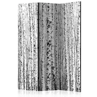Parawan 3-częściowy - Brzozowy las [Room Dividers] (rozmiar 135x172) - Parawany - miniaturka - grafika 1
