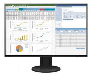 Eizo FlexScan (EV2457-BK) - Monitory - miniaturka - grafika 1