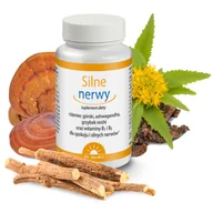 Układ nerwowy - DR JACOBS Silne nerwy różeniec górski ashwagandha grzybek reishi witamina B1 witamina B2 kapsułki 100 sztuk - miniaturka - grafika 1