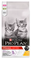 Sucha karma dla kotów - Purina Pro Plan Kitten 10 kg - miniaturka - grafika 1