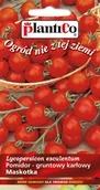 Nasiona i cebule - Plantico Pomidor Maskotka - miniaturka - grafika 1