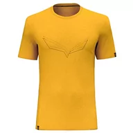 Koszulki męskie - Salewa Pure Eagle Frame Dry T-shirt męski, złoty, M, złoto, M - miniaturka - grafika 1