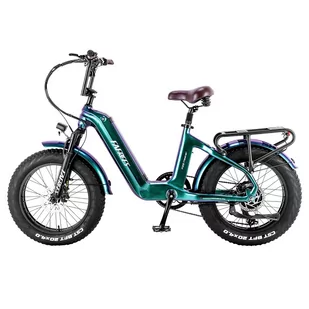FAFREES F20 Master E-bike 20*4.0 inch Air Tire 500W Rear Drive 25km/h Max Speed 48V 22.5Ah Battery 140-160km Range Green - Rowery - miniaturka - grafika 2