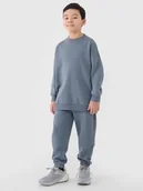 Bluzy dla chłopców - Dres chłopięcy, niebieski, 4F - miniaturka - grafika 1
