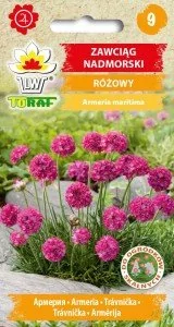 Toraf Zawciąg nadmorski nasiona 0,1g 00520 - Nasiona i cebule - miniaturka - grafika 1