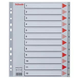 Esselte Przekładki plastikowe A4 Maxi numeryczne 1-31 - szare 100127 - Przekładki do segregatorów - miniaturka - grafika 1