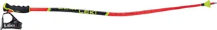 Leki Poles WCR Lite GS 3D - Kijki narciarskie - miniaturka - grafika 1