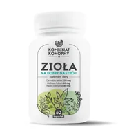 Suplementy naturalne - Zioła na dobry nastrój - miniaturka - grafika 1