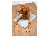 Legowiska dla psów - Karlie Mata grzewcza dla zwierząt, samonagrzewająca się (Jasnoszary) - miniaturka - grafika 1