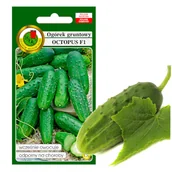 Nasiona i cebule - OGÓREK KONSERWOWY OCTOPUS NASIONA BEZ GMO 1,5g - miniaturka - grafika 1