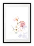 Plakaty - Plakat B2 50x70 cm Roślina Kwiat Róż   WZORY - miniaturka - grafika 1