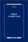 Religia i religioznawstwo - Homilie o księdze liczb - miniaturka - grafika 1