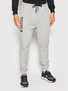 Alpha Industries Spodnie dresowe Basic 116368 Szary Regular Fit - Spodnie sportowe męskie - miniaturka - grafika 1