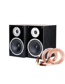 Głośniki i kolumny - WILSON RAPTOR 3 + kabel SPK CABLE 4.0MM (2x3m) - miniaturka - grafika 1