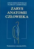 Książki medyczne - Zarys Anatomii Człowieka - miniaturka - grafika 1