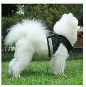 Szelki dla kotów - SZELKI BEZUCISKOWE SPACEROWE REGULOWANE ODBLASK DLA KOTA + SMYCZ ROZMIAR M - miniaturka - grafika 1