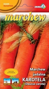 Marchew Karotela wczesna 3g / L / - Nasiona i cebule - miniaturka - grafika 1